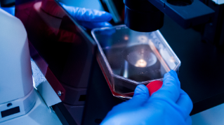 Diploma of Science (UniLink)