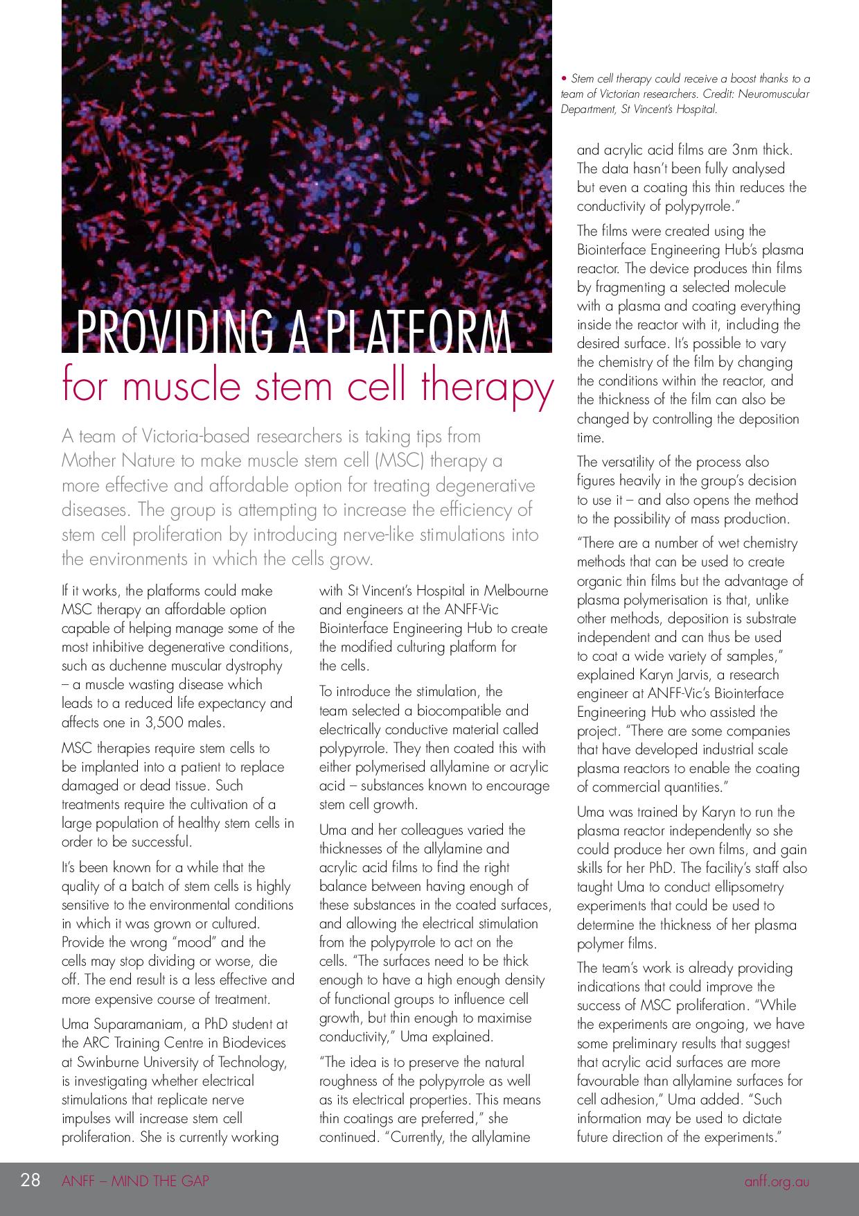 Providing a platform for muscle stem cell therapy