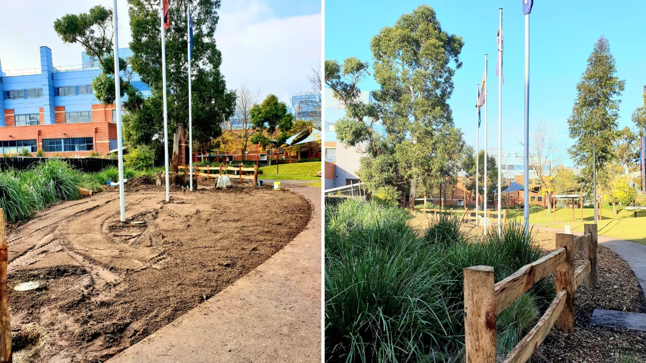 Progress at the Aunty Dot Peters AM Flowering Grasslands on Hawthorn campus