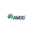 AMOG Consulting