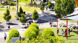 Certificate IV in Building and Construction (Building)