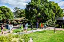 People walk on path surrounded by manicured grass and big trees