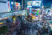 Top view of crowd people pedestrians walking cross zebra crosswalk in Shibuya district at night in Tokyo, Japan. Lights from commercial billboards