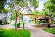 Croydon campus gardens and social area covered by trees