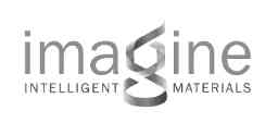 CDI-Partner-Logo-Imagine