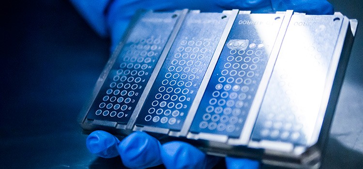 Plates used on the MALDI-TOF to detect different types of bacteria isolated from environmental samples. 