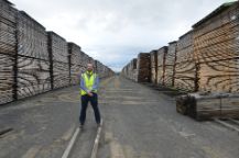 Professor Blair Kuys wearing a high visibility jacket whilst he stand in a wood yard