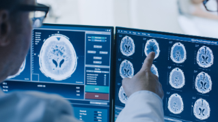 Bachelor of Psychology and Cognitive Neuroscience