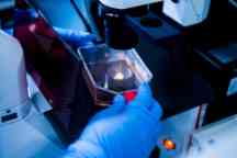 Swinburne science students hard at work in the university's laboratory facilities.